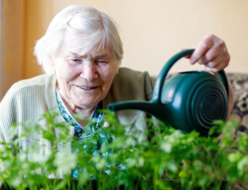 8 Activities for Seniors That Keep Life Vibrant in Assisted Living in Huntsville, TX