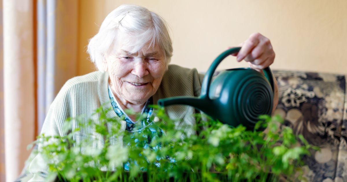 8 Activities for Seniors That Keep Life Vibrant in Assisted Living